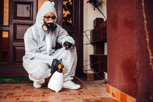Reliable Ant Control contractor in Brady, TX by Show Me Pest Control
